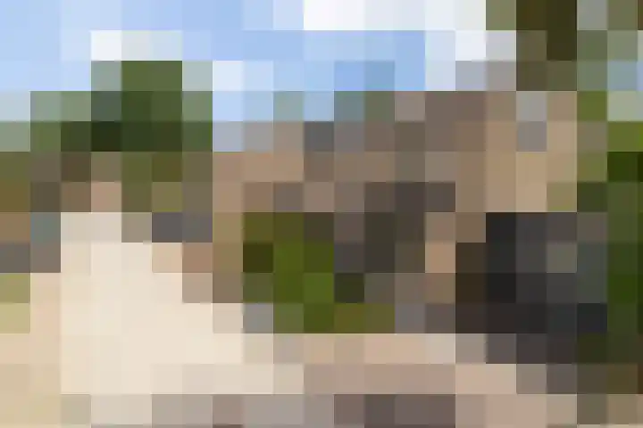 2e Vijverstraat 7 Berlicum thumbnail 42