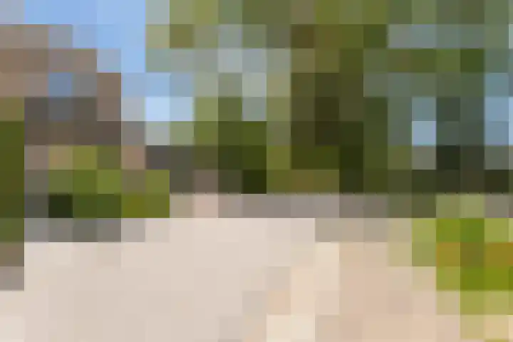 2e Vijverstraat 7 Berlicum thumbnail 43
