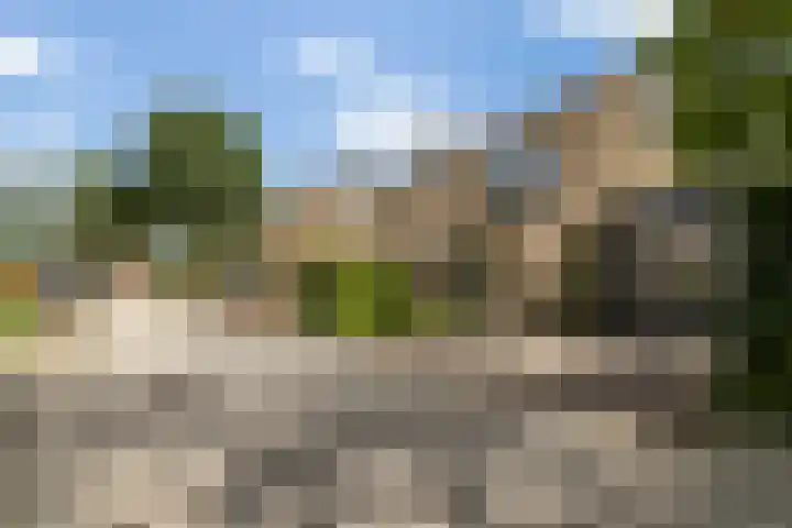 2e Vijverstraat 7 Berlicum thumbnail 44