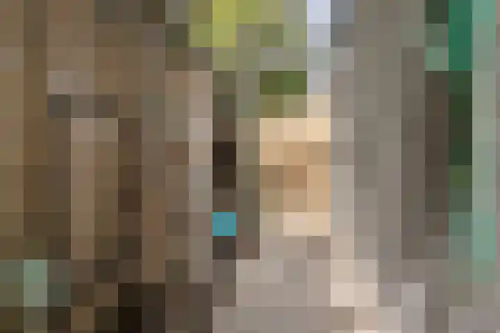 2e Vijverstraat 7 Berlicum thumbnail 45
