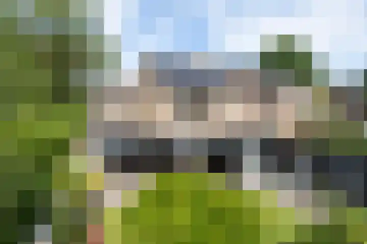 2e Vijverstraat 7 Berlicum thumbnail 46