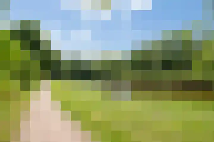 2e Vijverstraat 7 Berlicum thumbnail 47