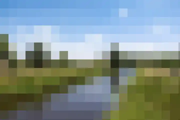 2e Vijverstraat 7 Berlicum thumbnail 48