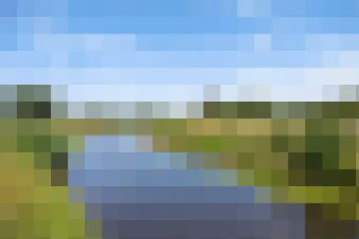2e Vijverstraat 7 Berlicum thumbnail 49