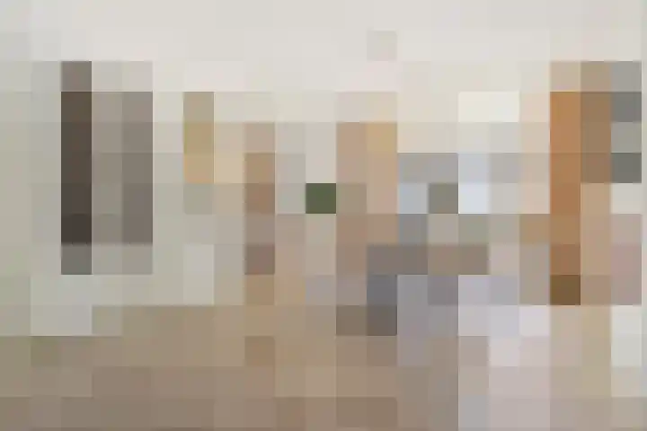 2e Vijverstraat 7 Berlicum thumbnail 5