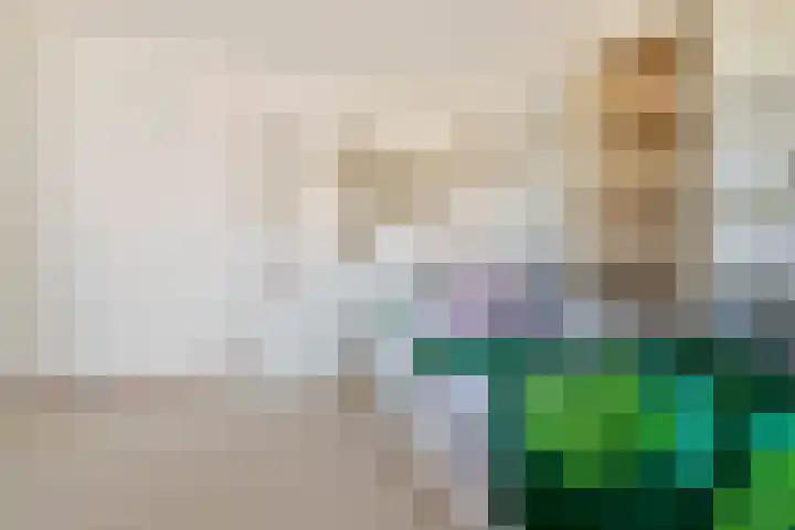 2e Vijverstraat 7 Berlicum thumbnail 51