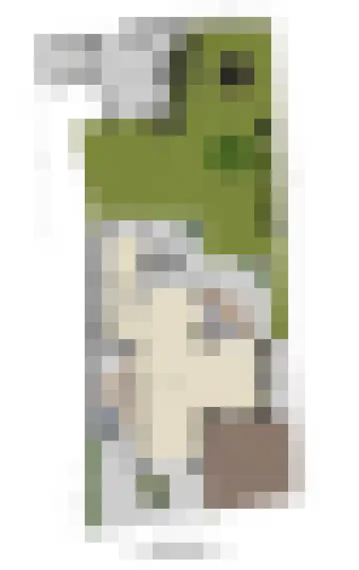 2e Vijverstraat 7 Berlicum thumbnail 52