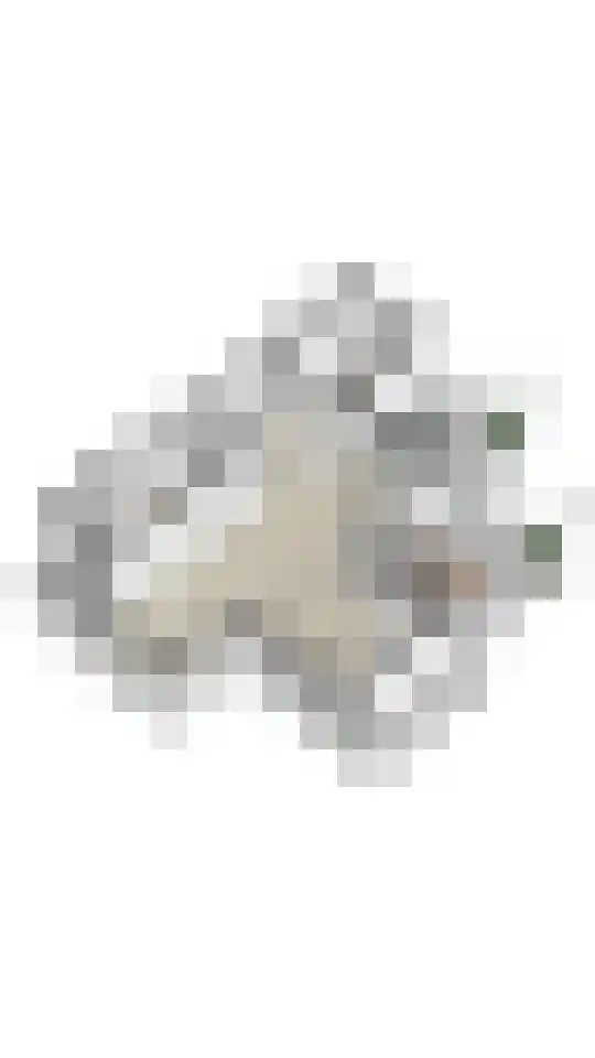2e Vijverstraat 7 Berlicum thumbnail 56