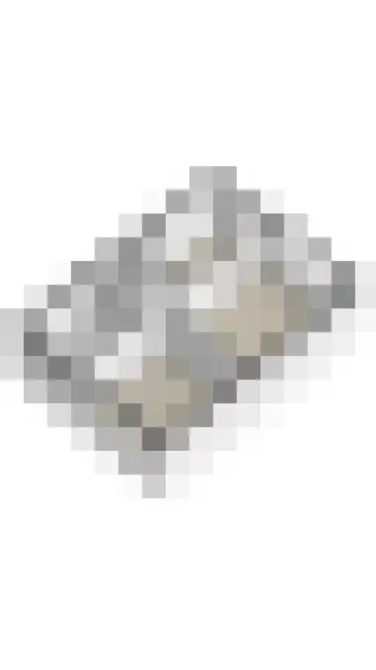 2e Vijverstraat 7 Berlicum thumbnail 57