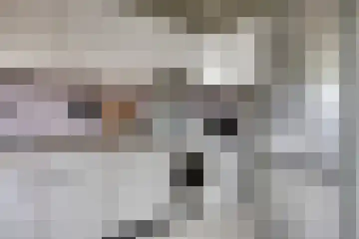 2e Vijverstraat 8 Berlicum thumbnail 10