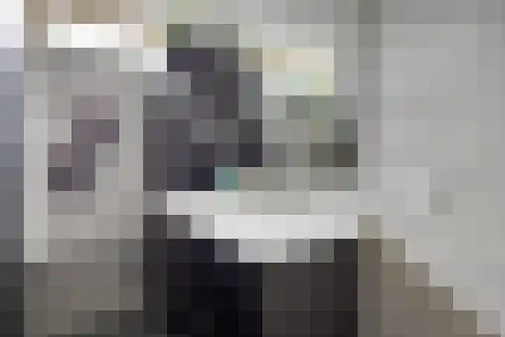 2e Vijverstraat 8 Berlicum thumbnail 14