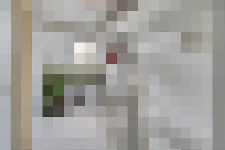 2e Vijverstraat 8 Berlicum thumbnail 16