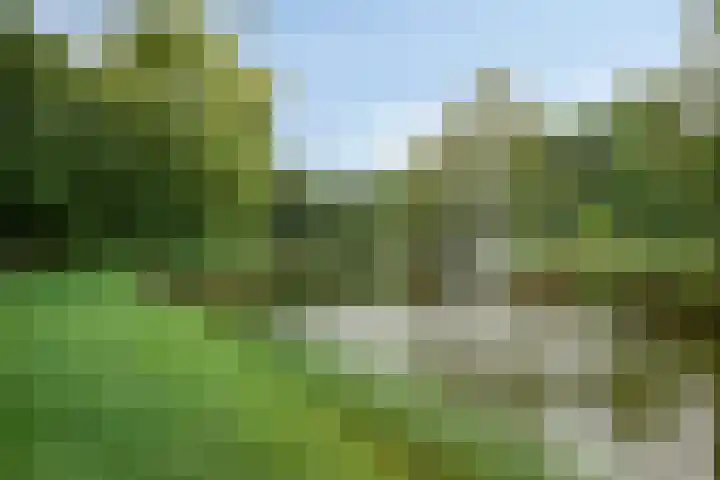 2e Vijverstraat 8 Berlicum thumbnail 21