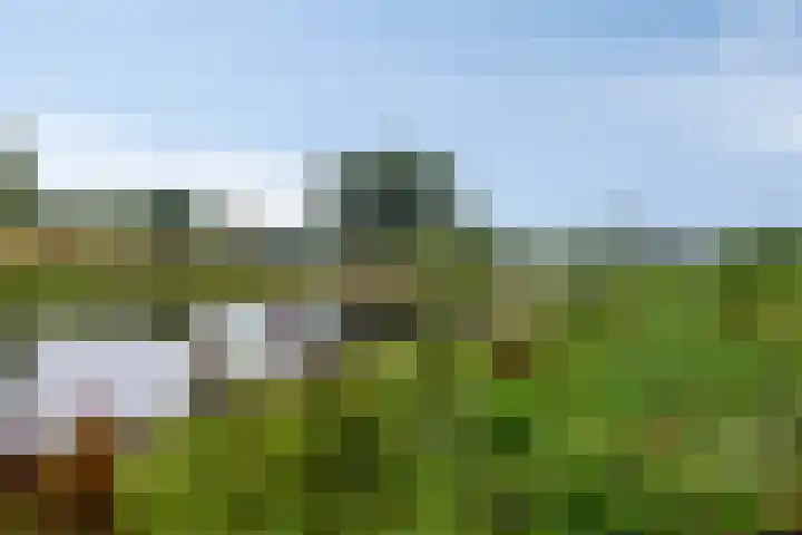 2e Vijverstraat 8 Berlicum thumbnail 22