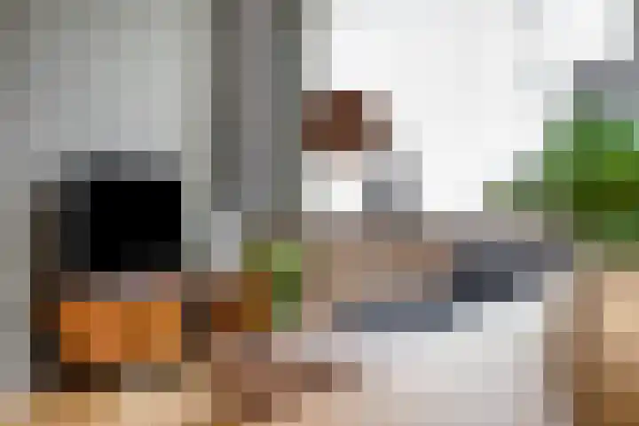 2e Vijverstraat 8 Berlicum thumbnail 7