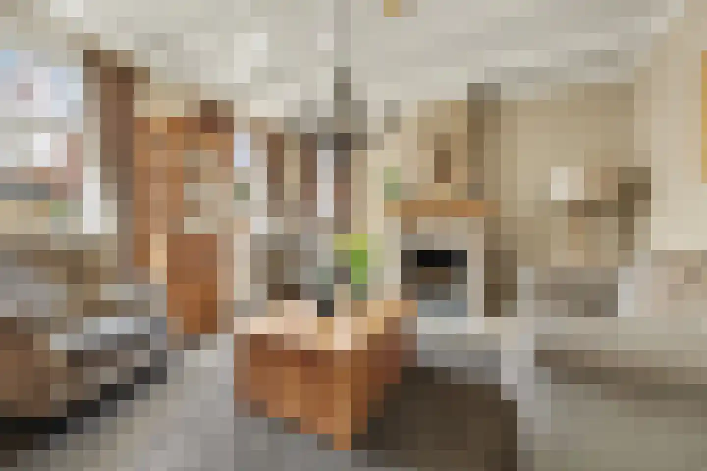 2e Vlietweg 4 Oostdijk thumbnail 10