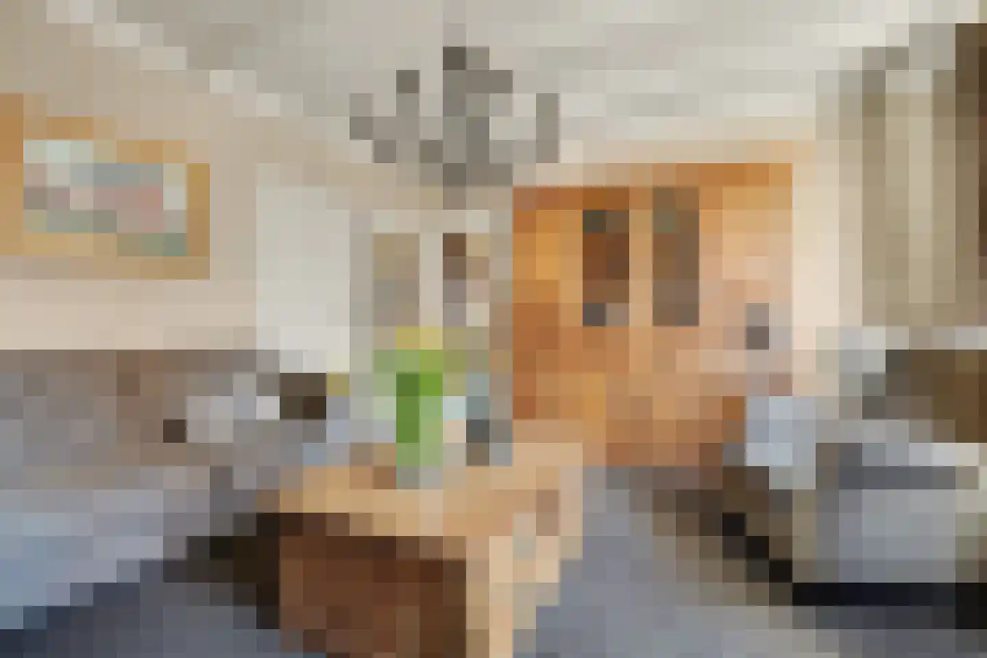2e Vlietweg 4 Oostdijk thumbnail 11