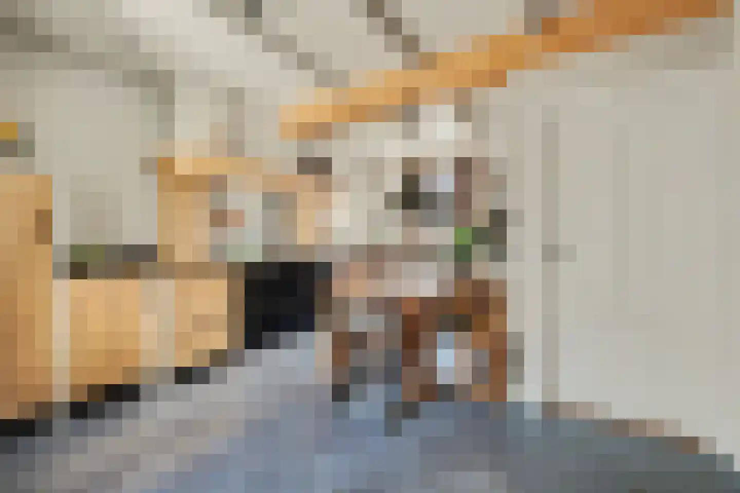 2e Vlietweg 4 Oostdijk thumbnail 12