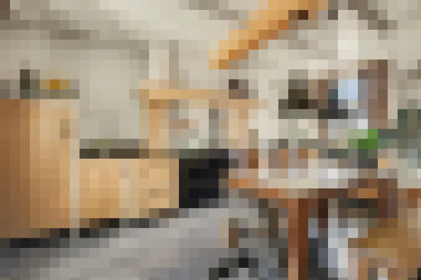2e Vlietweg 4 Oostdijk thumbnail 13