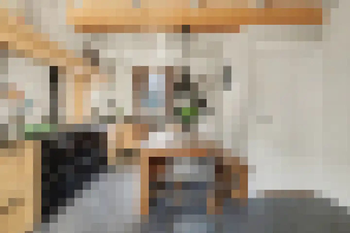 2e Vlietweg 4 Oostdijk thumbnail 14
