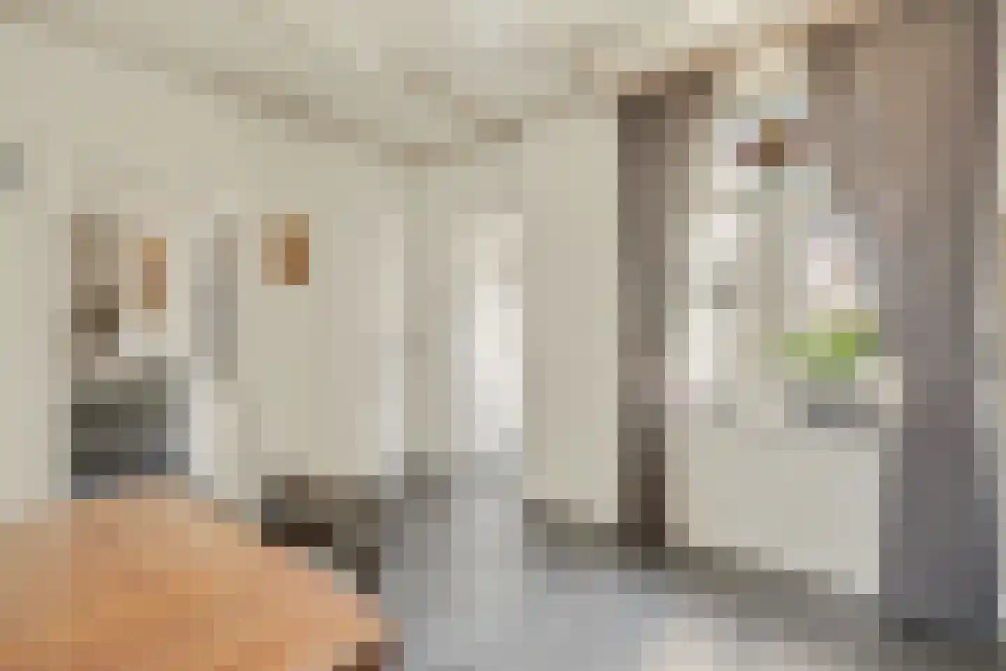 2e Vlietweg 4 Oostdijk thumbnail 15