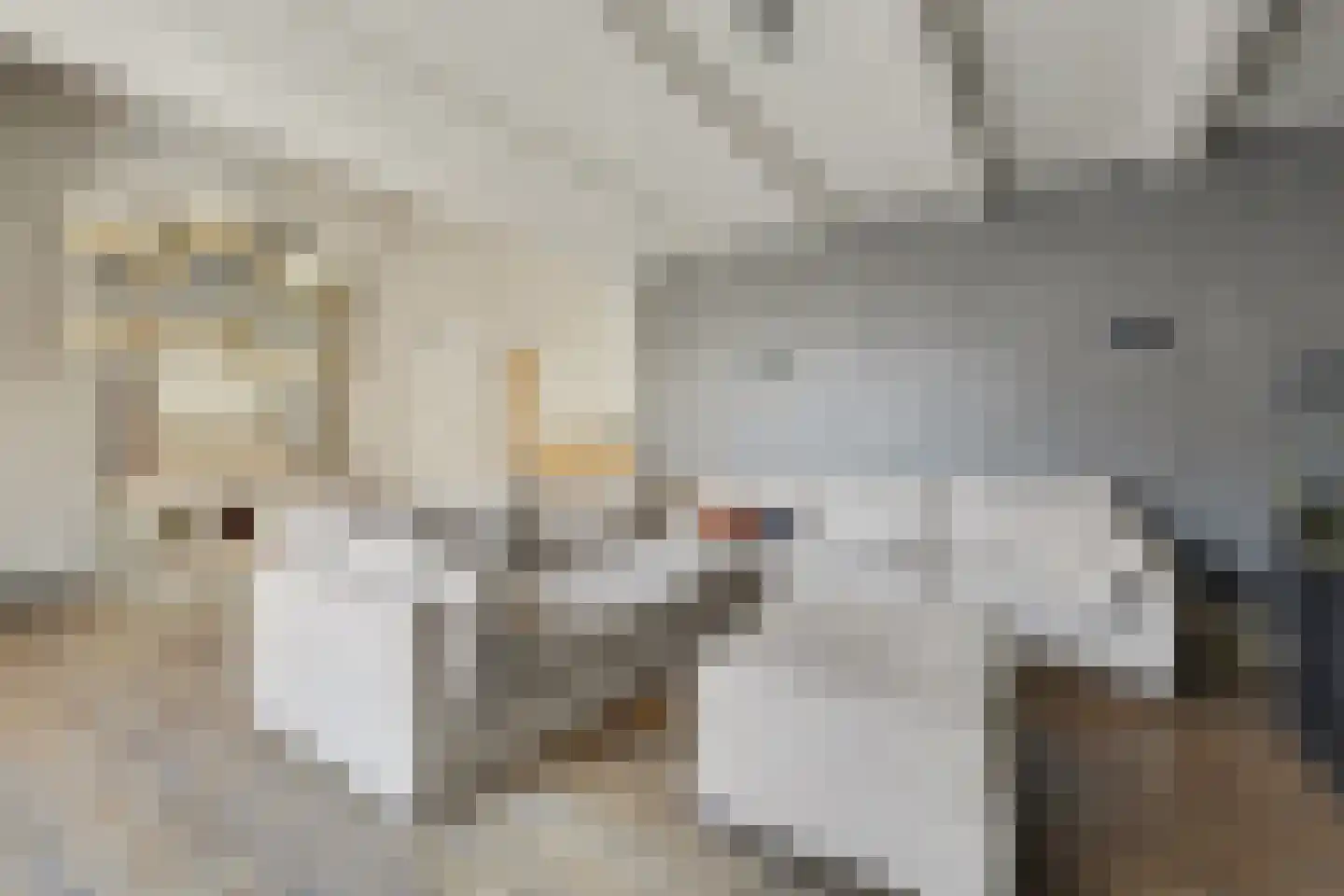 2e Vlietweg 4 Oostdijk thumbnail 16