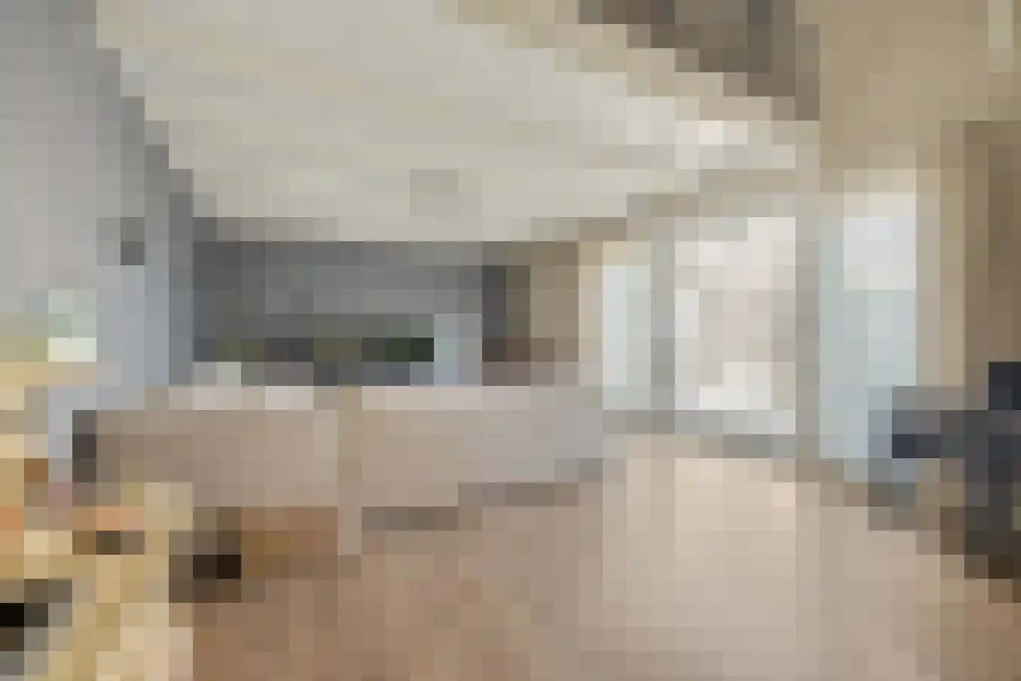 2e Vlietweg 4 Oostdijk thumbnail 17