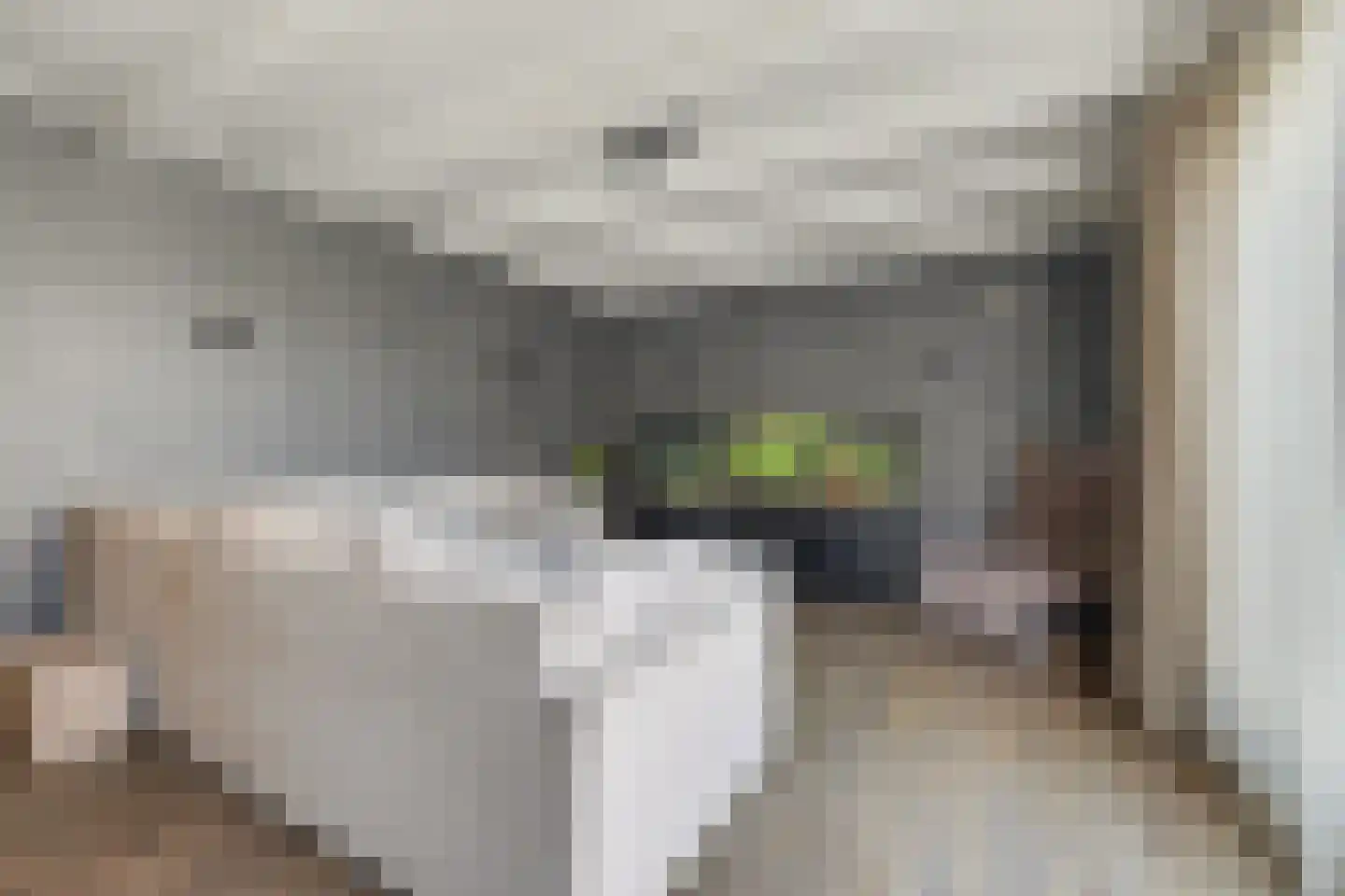 2e Vlietweg 4 Oostdijk thumbnail 18