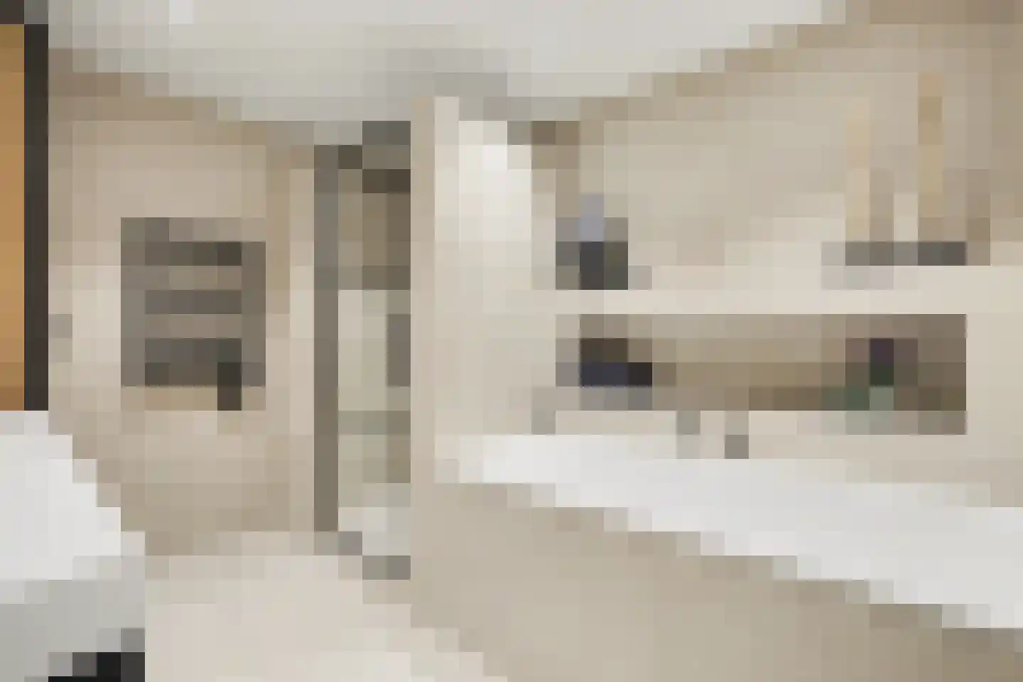 2e Vlietweg 4 Oostdijk thumbnail 19