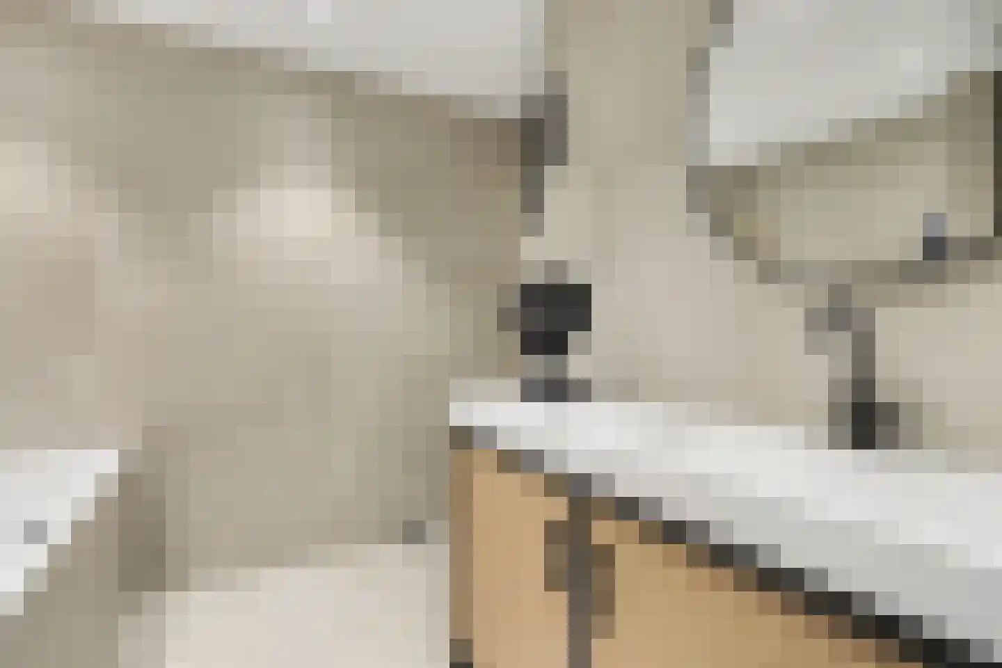 2e Vlietweg 4 Oostdijk thumbnail 20
