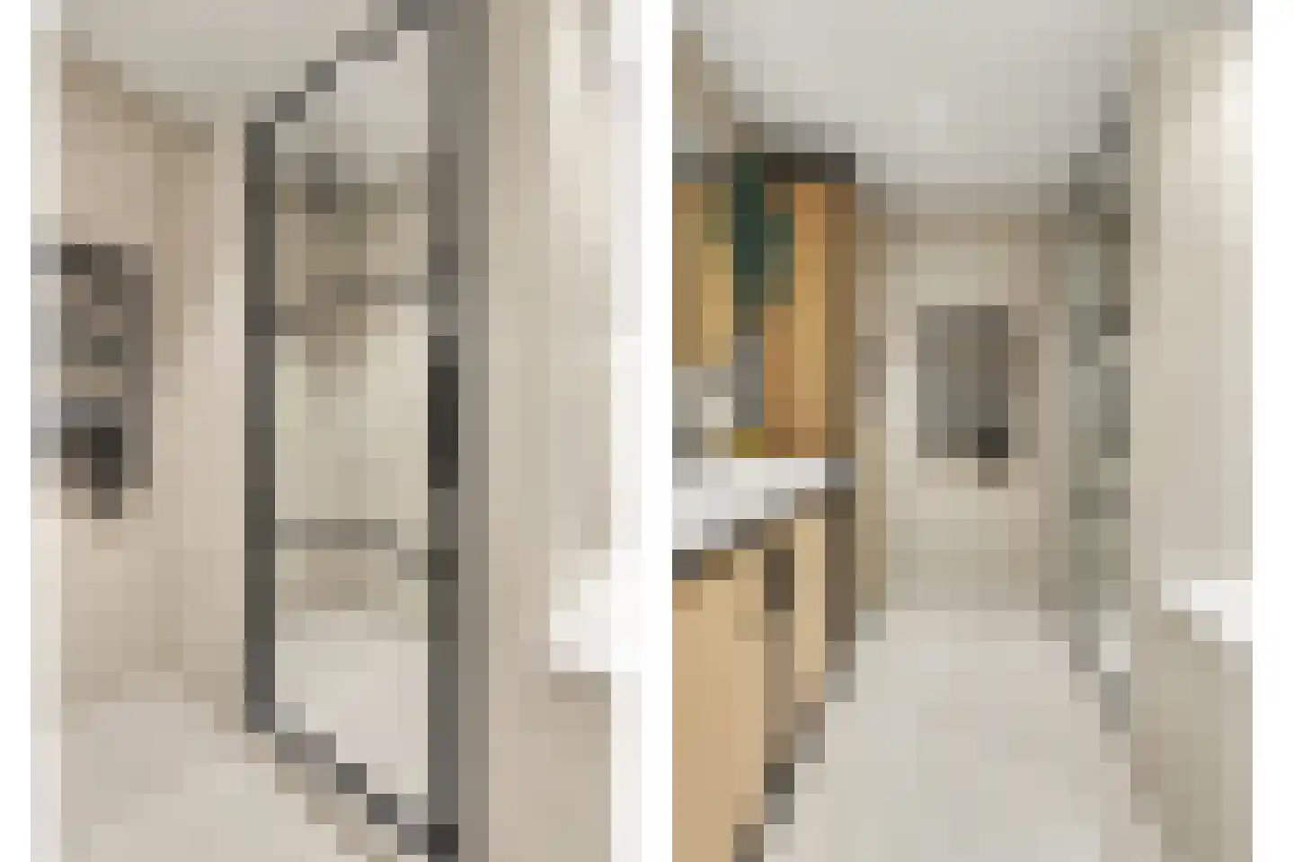 2e Vlietweg 4 Oostdijk thumbnail 21