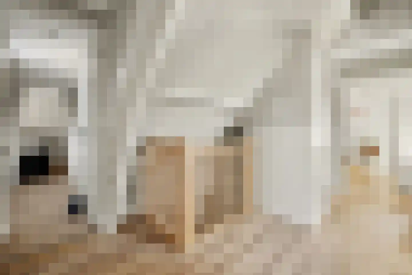 2e Vlietweg 4 Oostdijk thumbnail 22