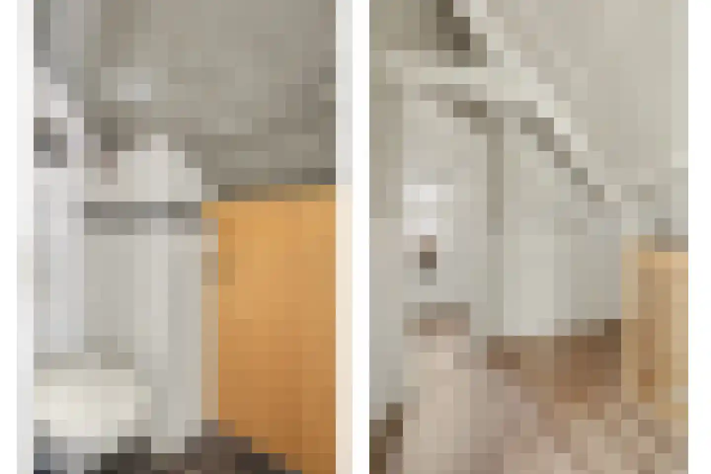 2e Vlietweg 4 Oostdijk thumbnail 23