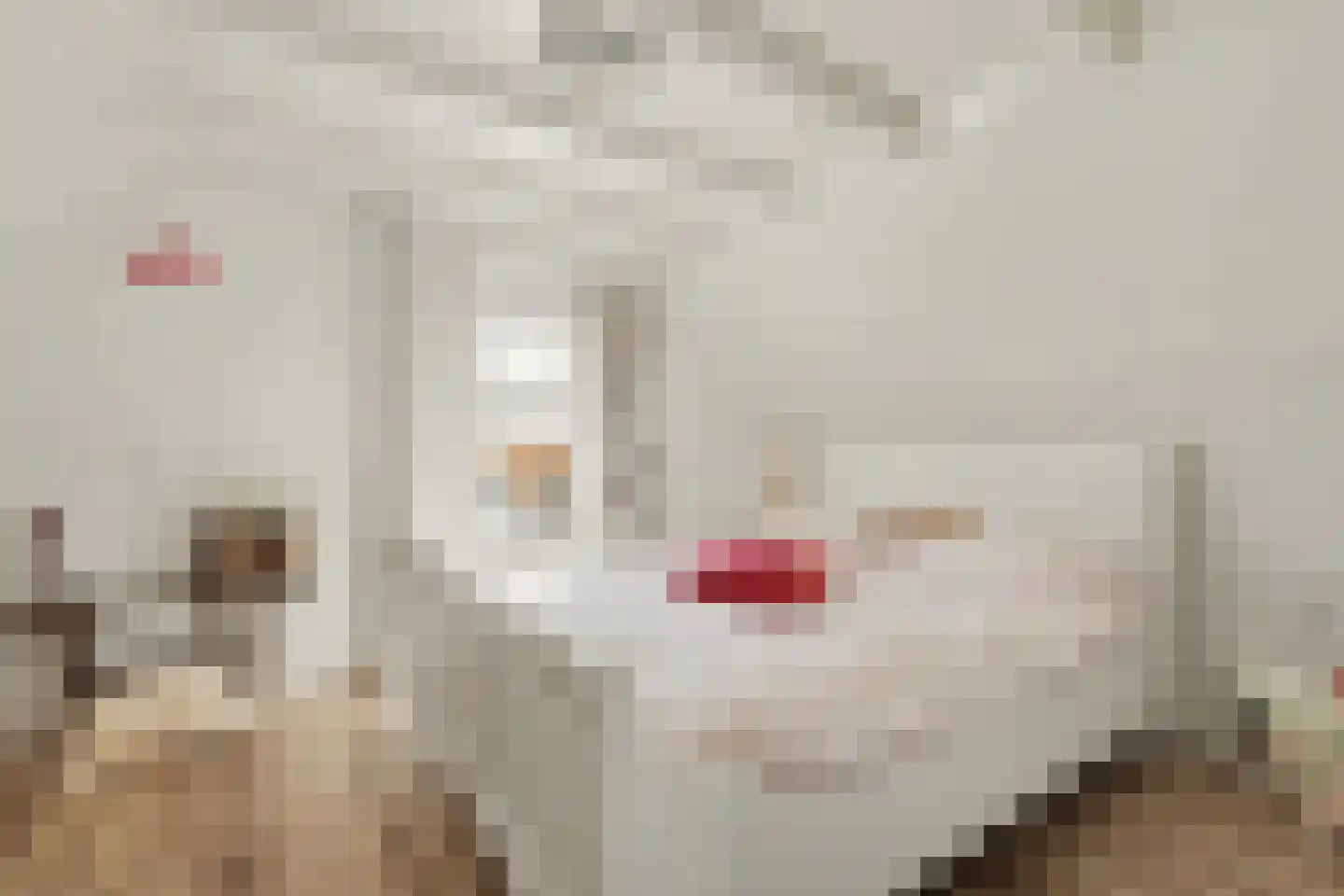 2e Vlietweg 4 Oostdijk thumbnail 24