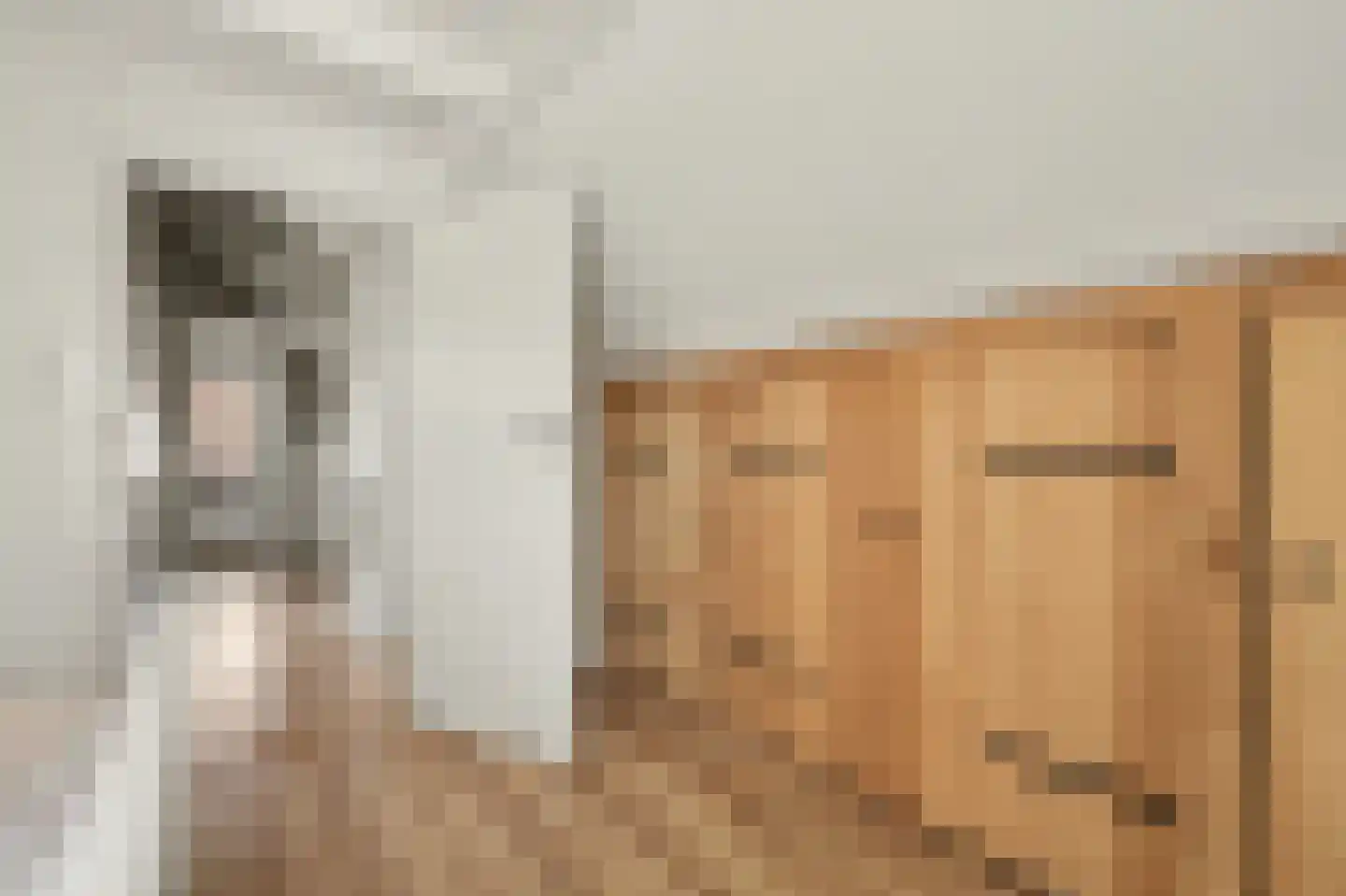2e Vlietweg 4 Oostdijk thumbnail 25