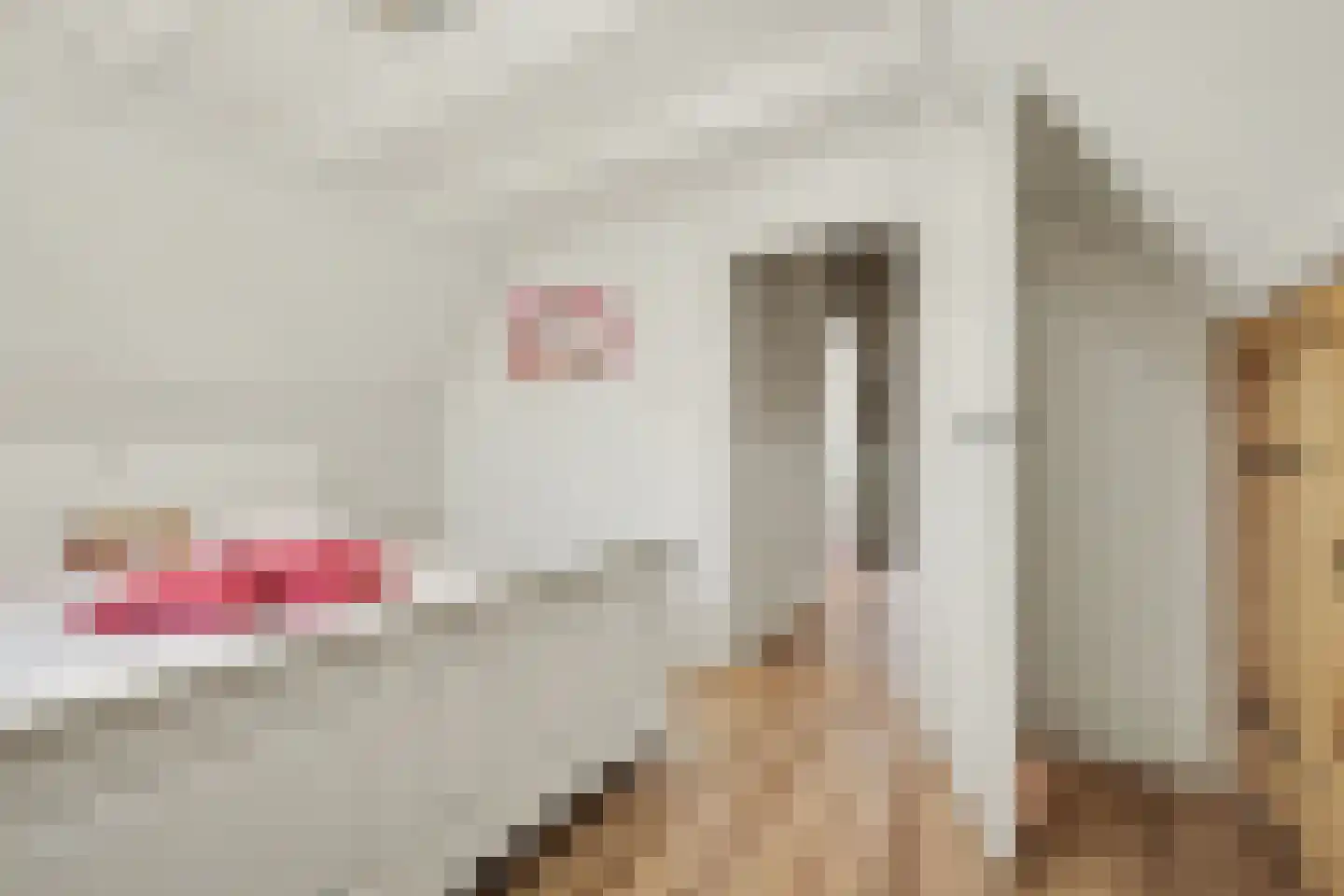2e Vlietweg 4 Oostdijk thumbnail 26
