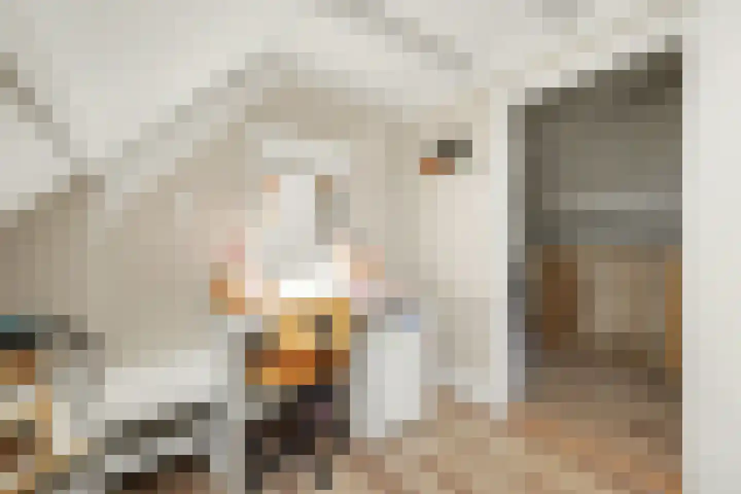 2e Vlietweg 4 Oostdijk thumbnail 30