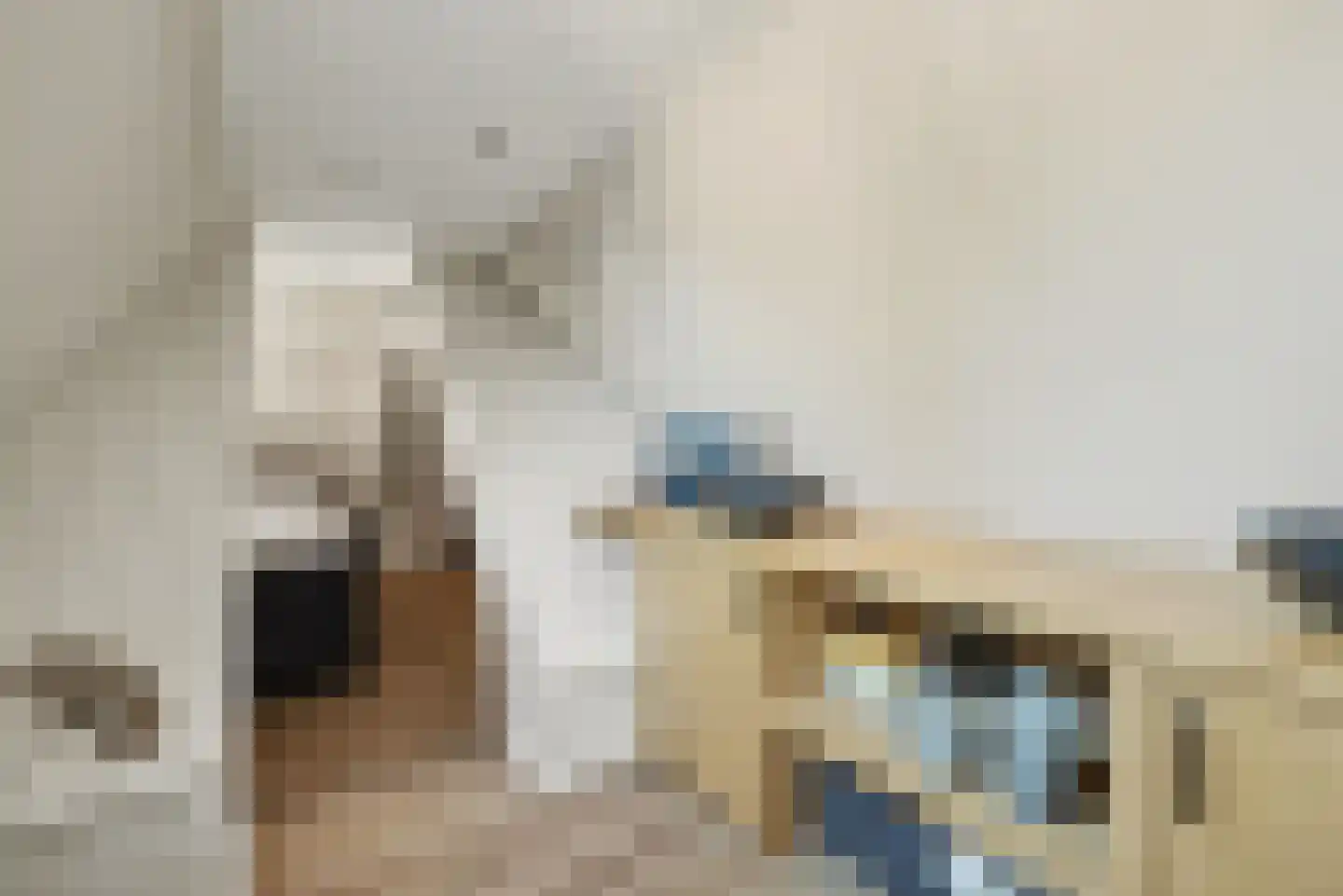 2e Vlietweg 4 Oostdijk thumbnail 31