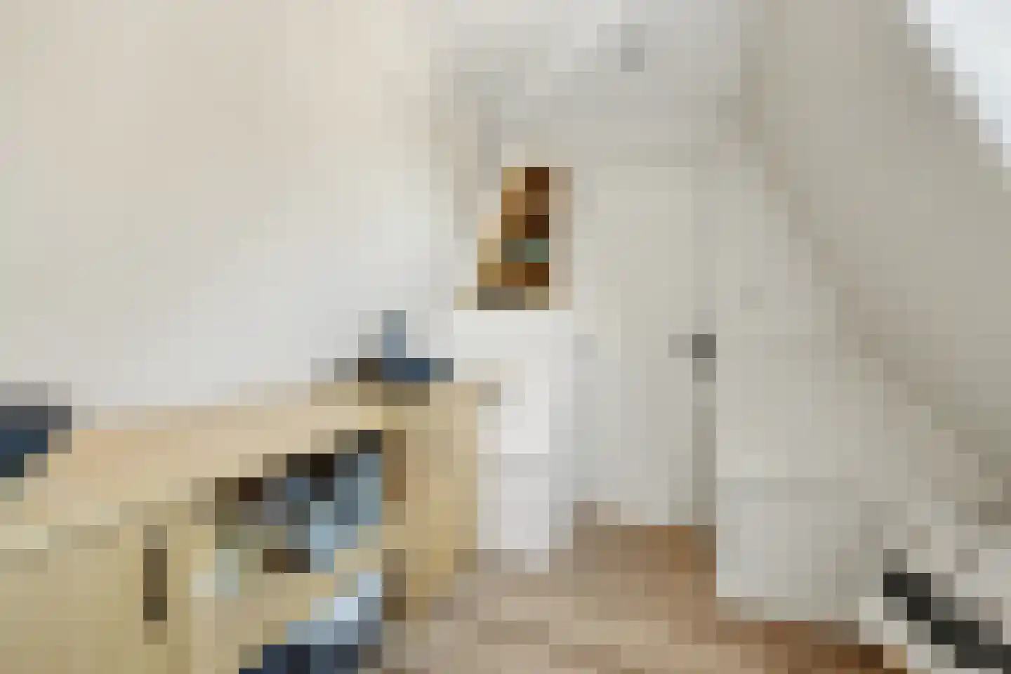 2e Vlietweg 4 Oostdijk thumbnail 32