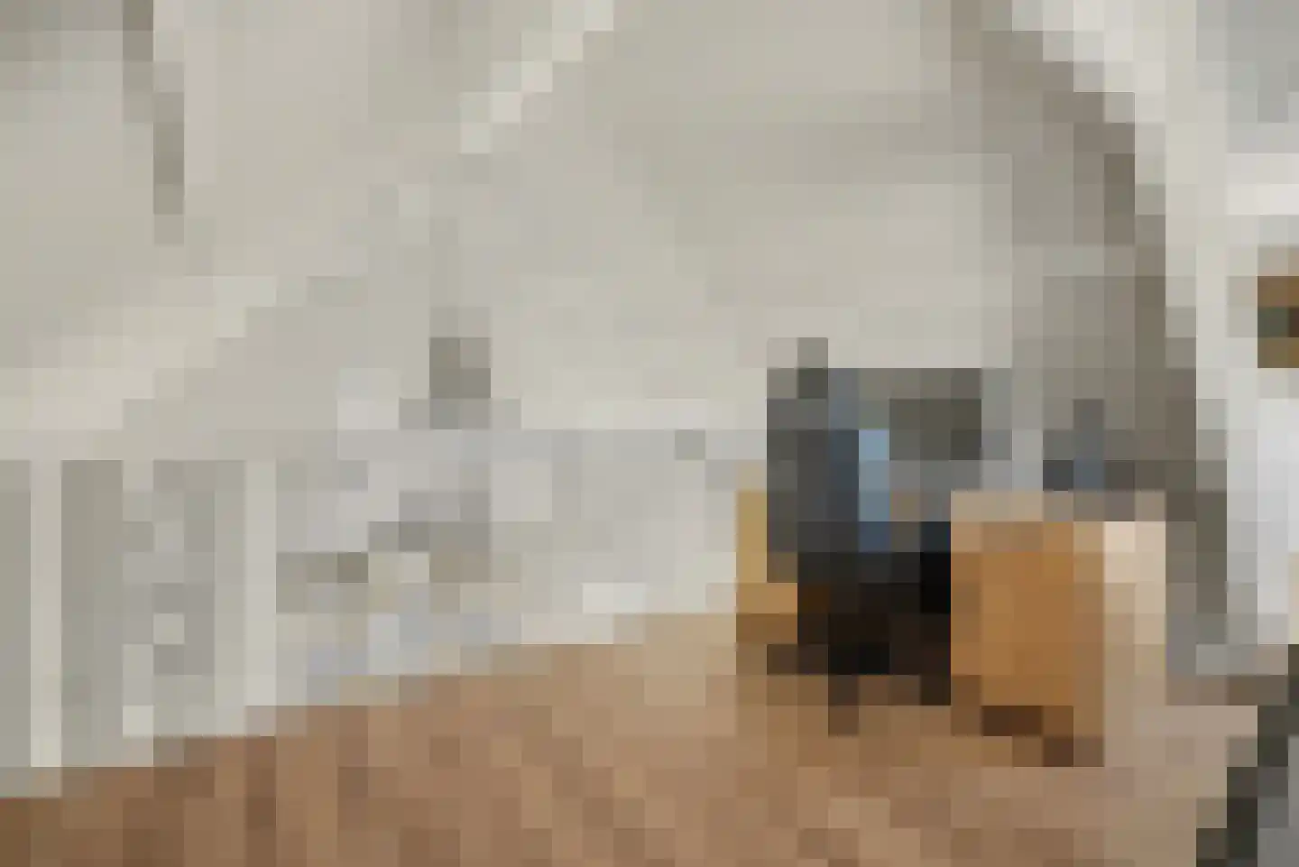 2e Vlietweg 4 Oostdijk thumbnail 34