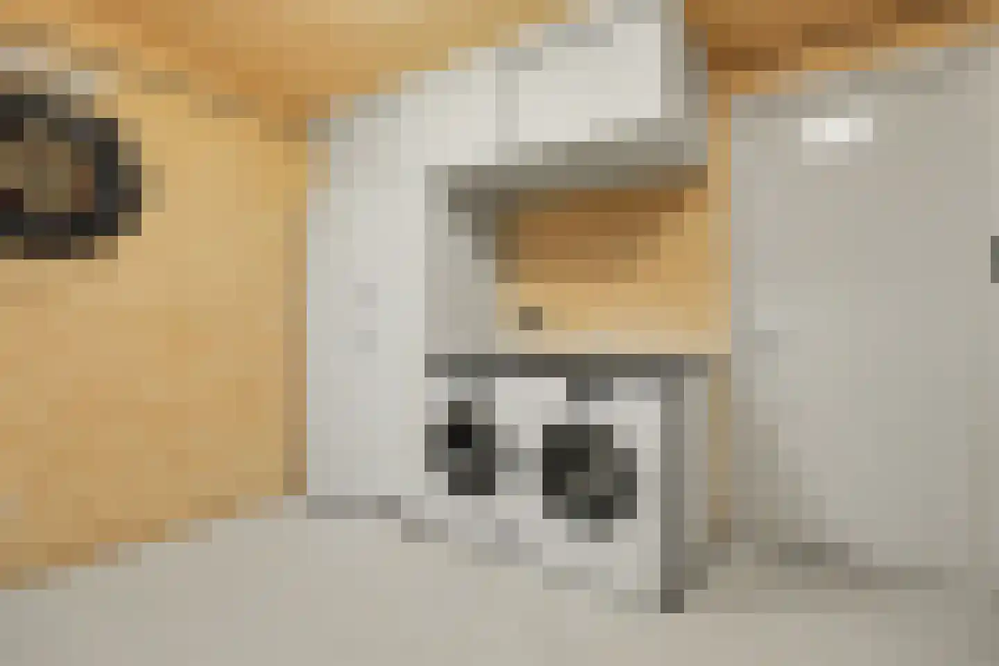 2e Vlietweg 4 Oostdijk thumbnail 35