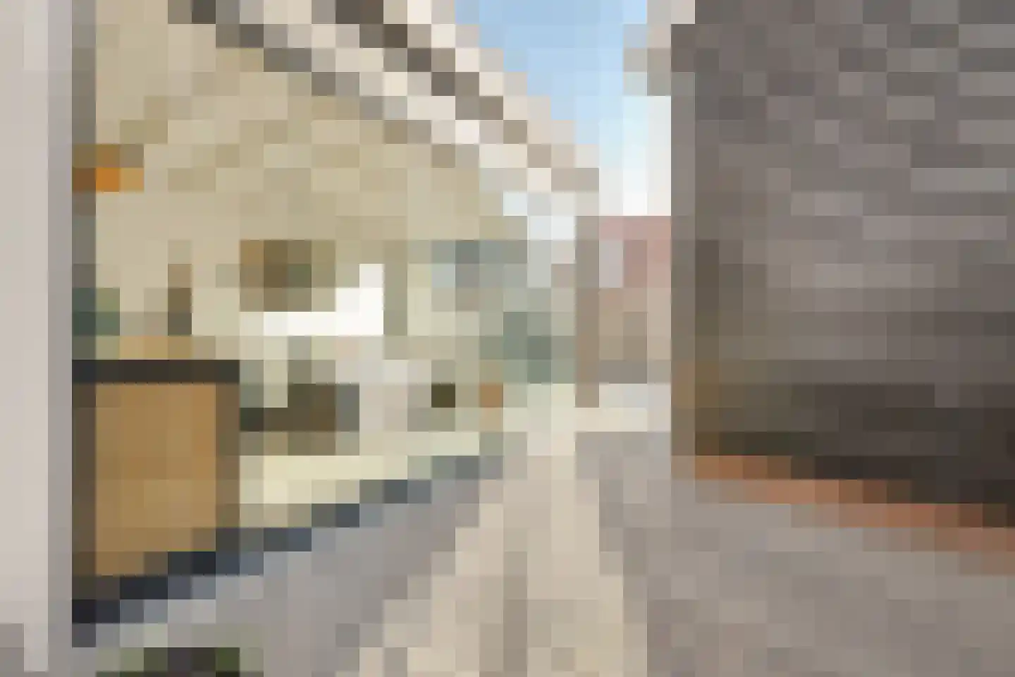 2e Vlietweg 4 Oostdijk thumbnail 36