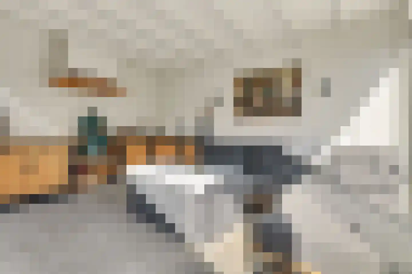 2e Vlietweg 4 Oostdijk thumbnail 37