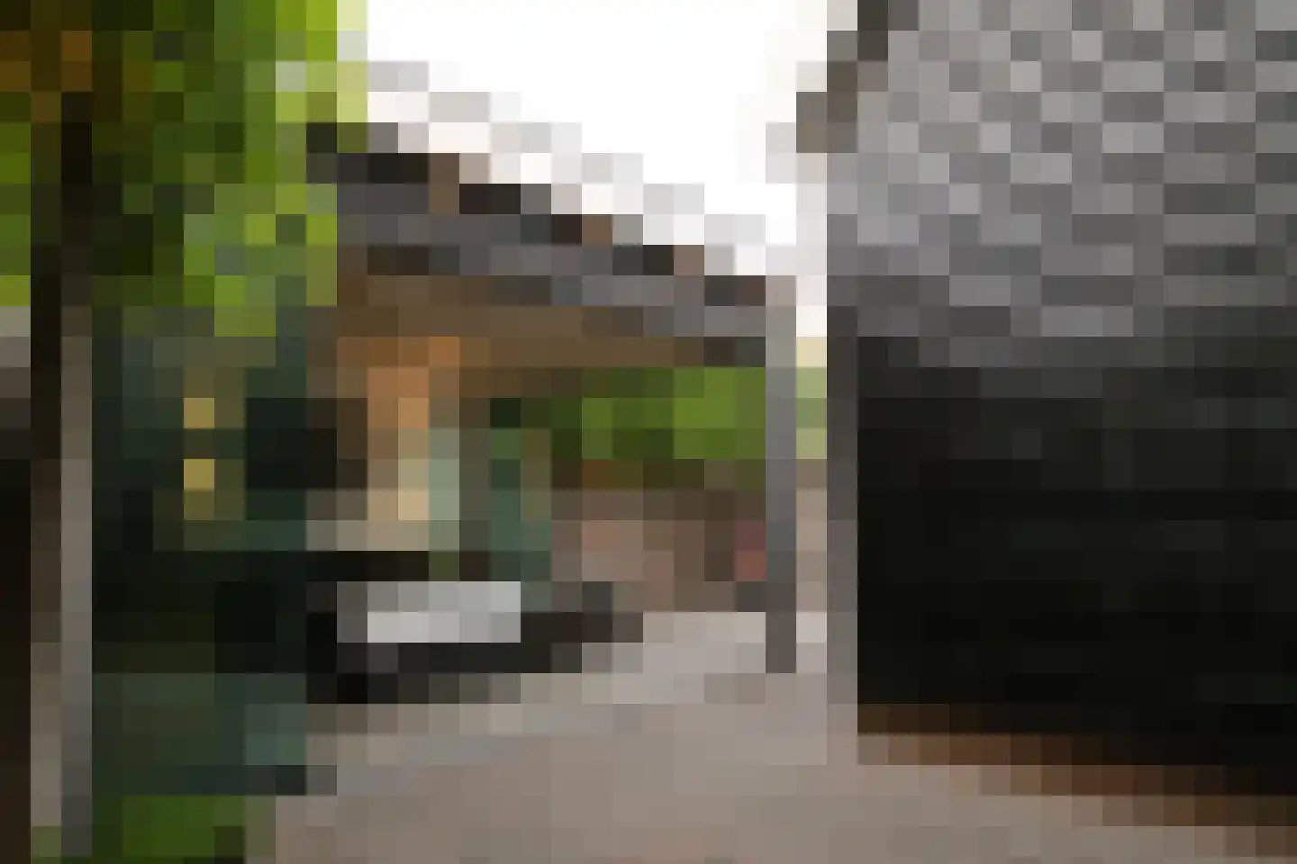 2e Vlietweg 4 Oostdijk thumbnail 39
