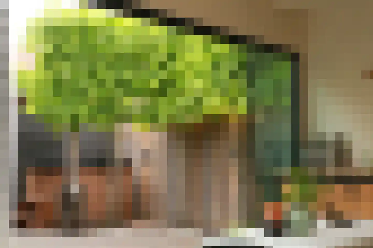 2e Vlietweg 4 Oostdijk thumbnail 41