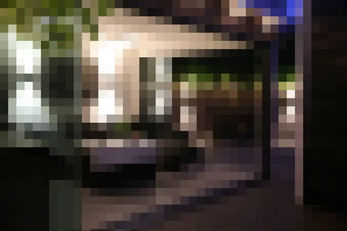 2e Vlietweg 4 Oostdijk thumbnail 42