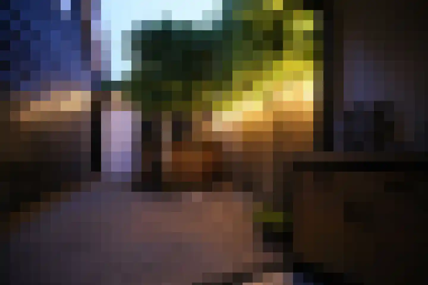 2e Vlietweg 4 Oostdijk thumbnail 43