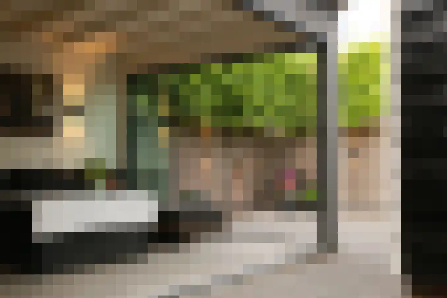 2e Vlietweg 4 Oostdijk thumbnail 44