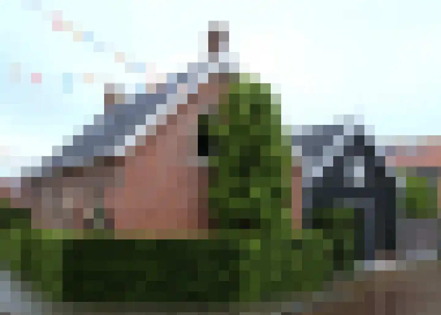 2e Vlietweg 4 Oostdijk thumbnail 5