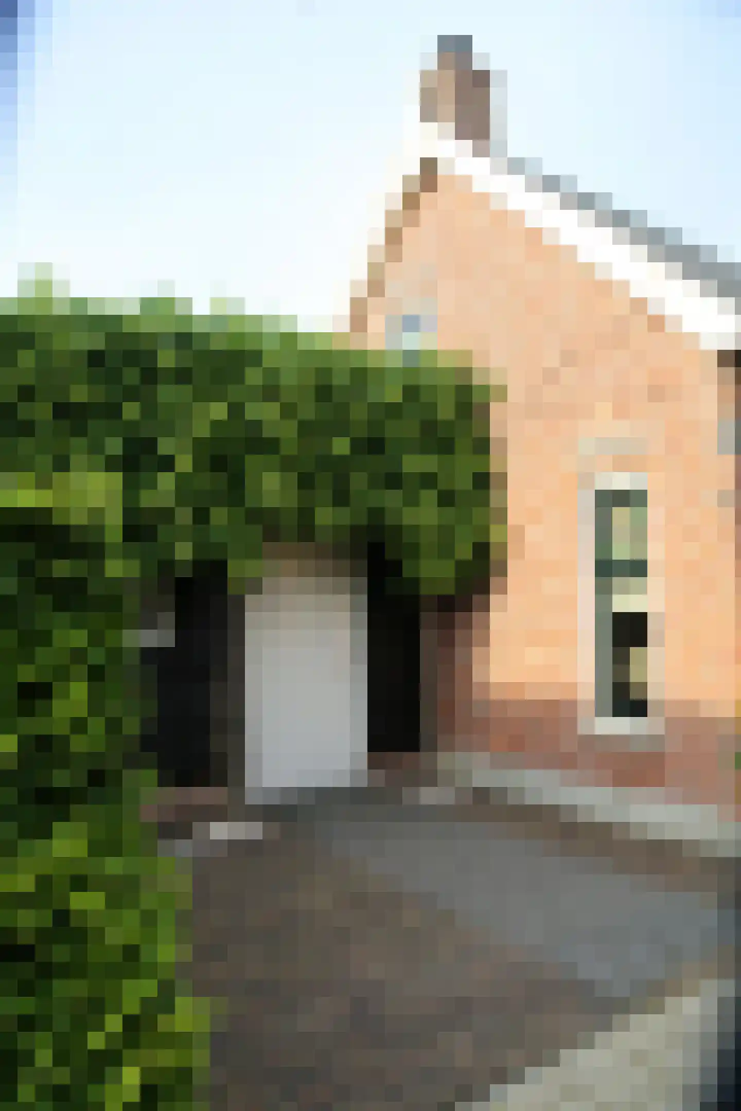 2e Vlietweg 4 Oostdijk thumbnail 7